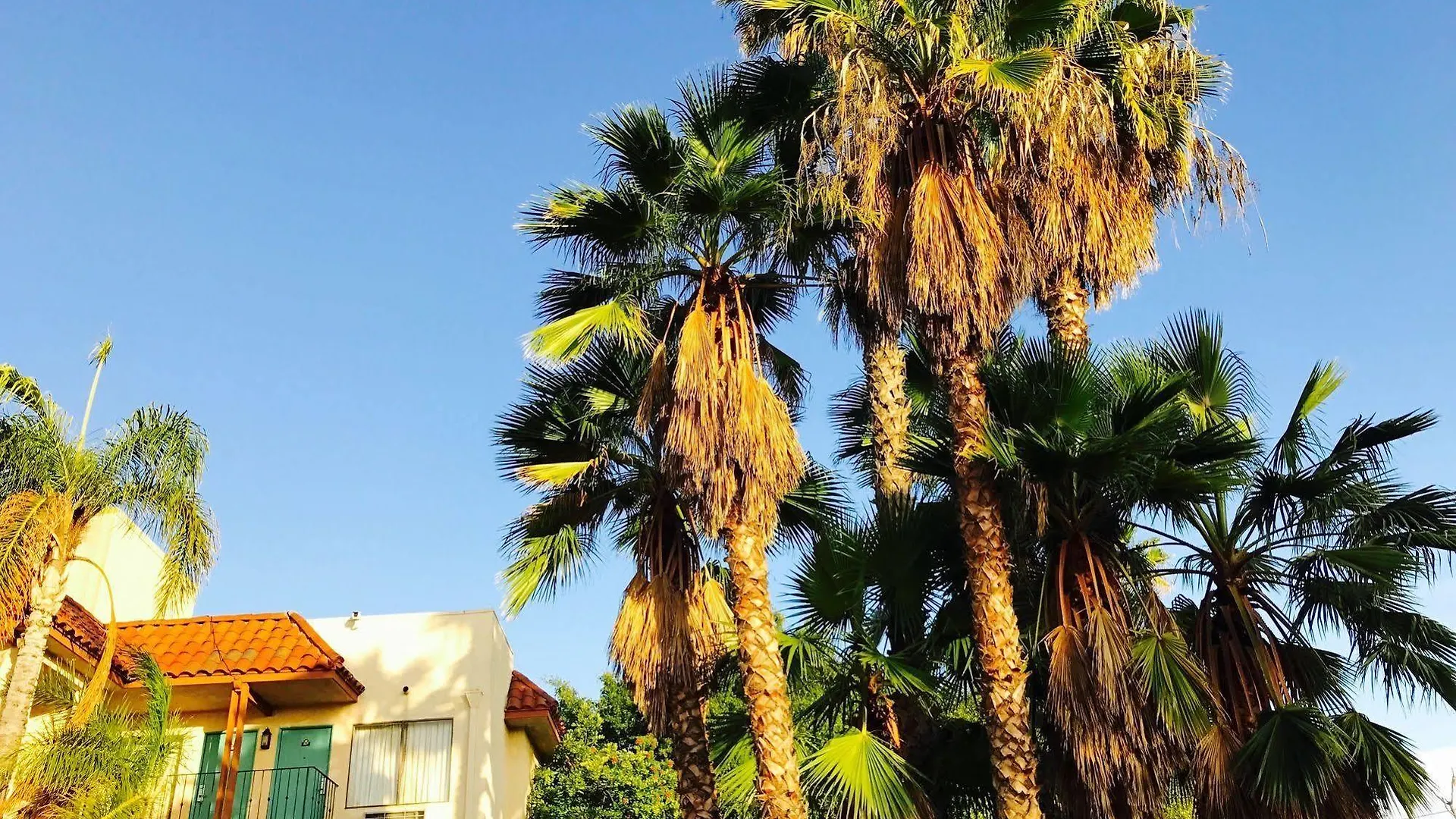 ** Hotel Days Inn By Wyndham Anaheim Near The Park United States